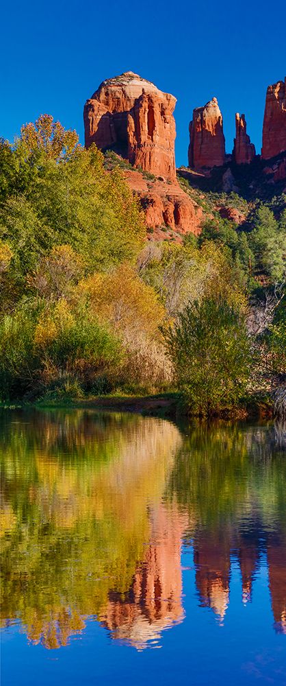 USA- Arizona- Red Rock State Park with Oak Creek and Cathedral Rock art print by Darrell Gulin for $57.95 CAD