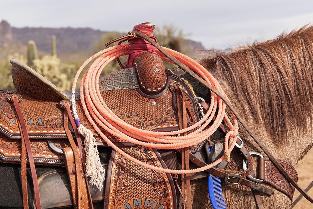 Close-up of a saddle and lariat on a horse. art print by Emily M. Wilson for $57.95 CAD