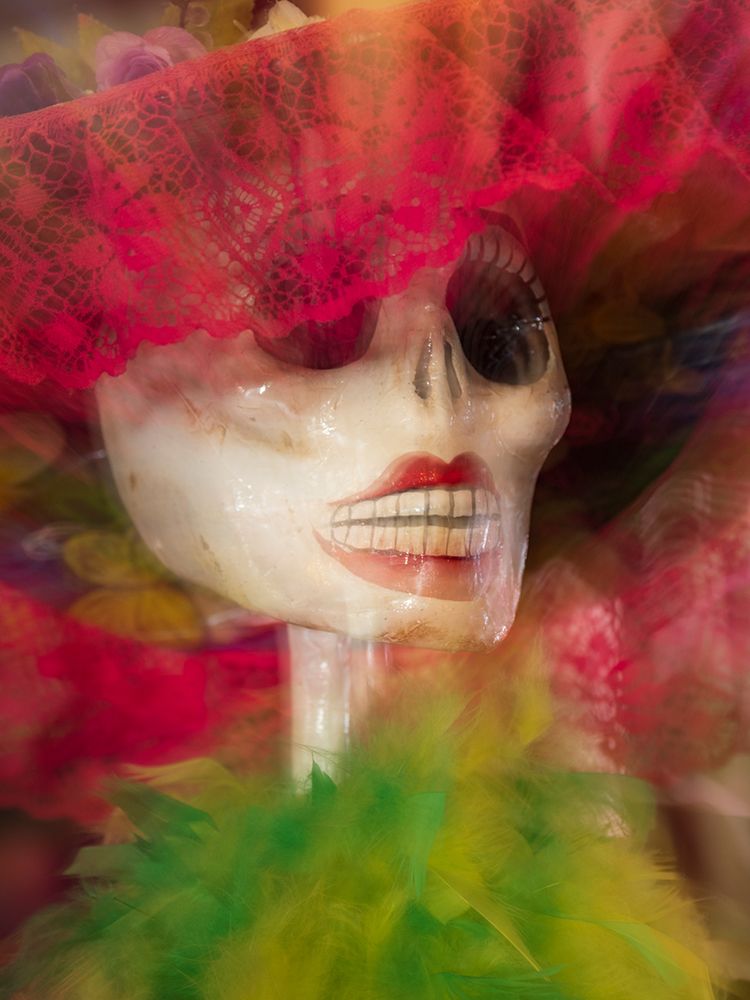 Usa-Arizona-Bisbee. Calavera skeleton at Day of the Dead celebration art print by Merrill Images for $57.95 CAD