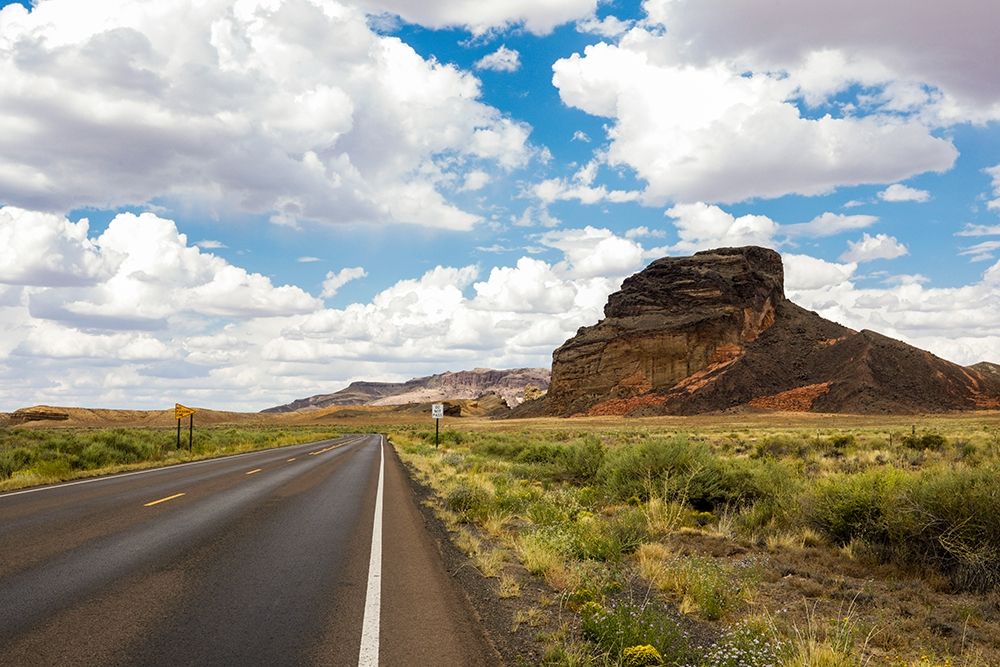Navajo Nation-Arizona Back road past a butte art print by Julien McRoberts for $57.95 CAD