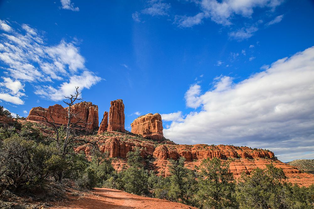 Sedona- Arizona. Cathedral Rock trailhead art print by Jolly Sienda for $57.95 CAD
