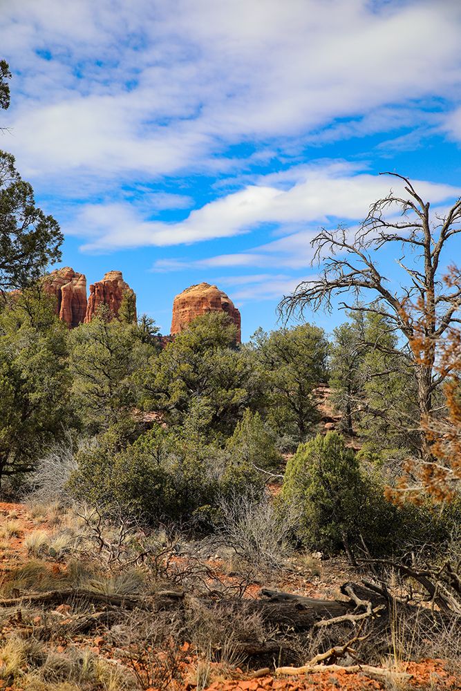 Sedona- Arizona- USA. Cathedral Rock- red rock formations art print by Jolly Sienda for $57.95 CAD