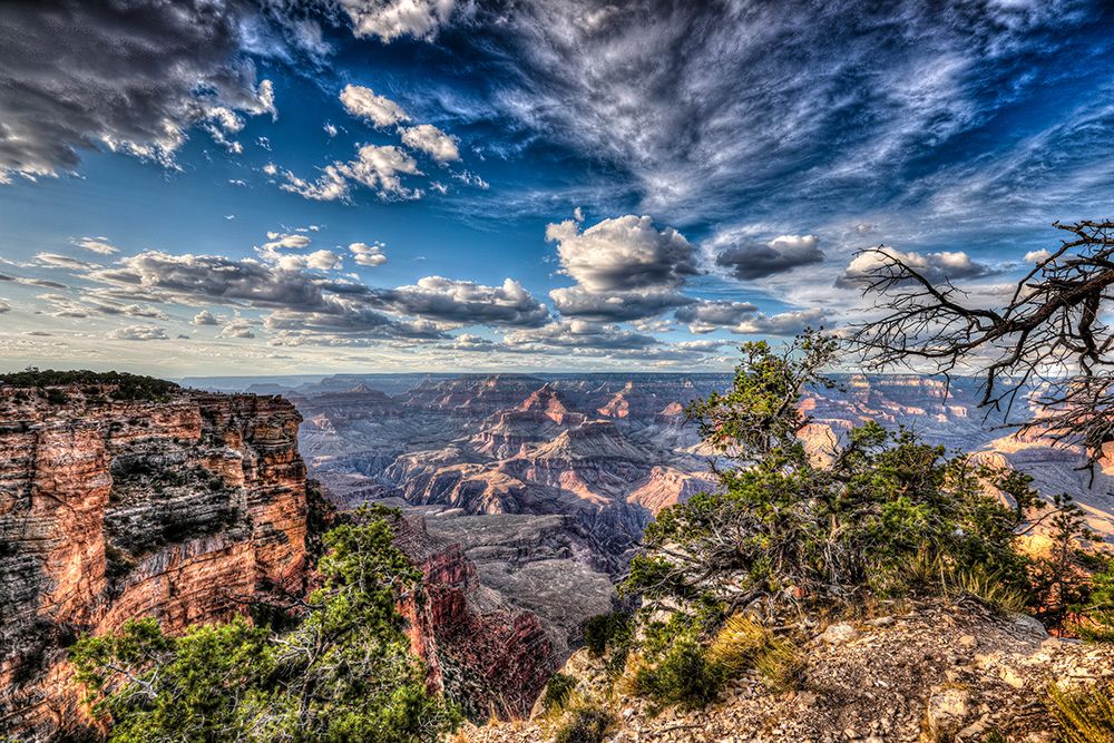 View of the Grand Canyon from the South Rim. art print by Larry Richardson for $57.95 CAD