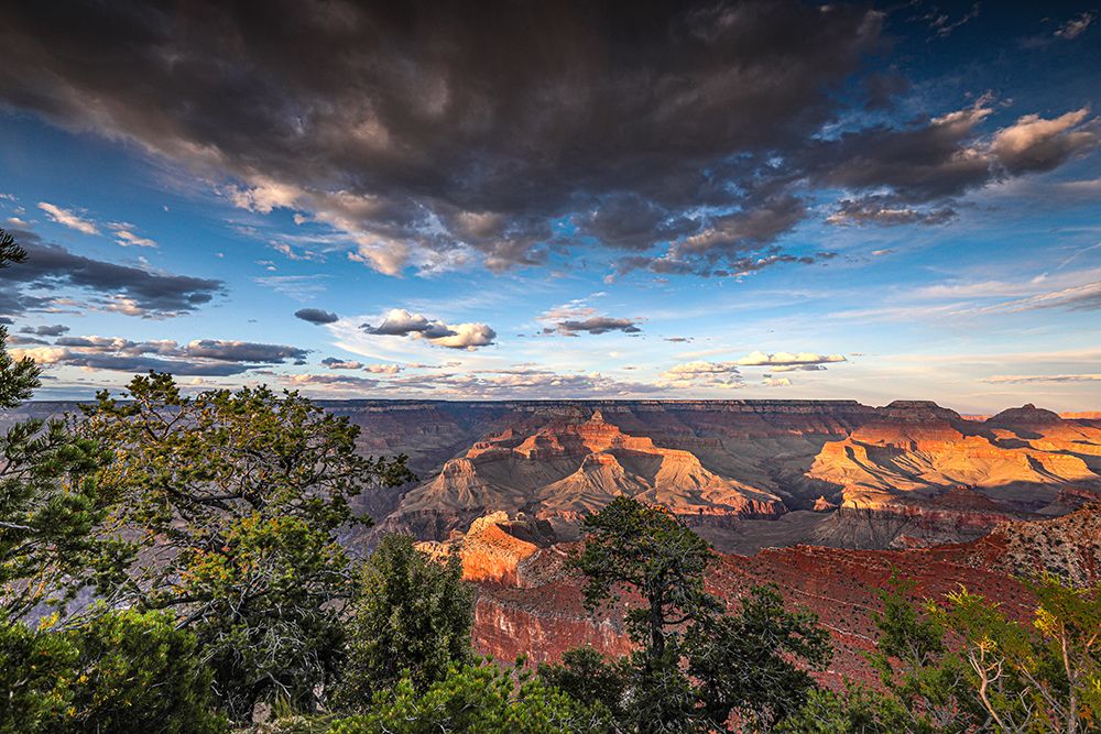 View of the Grand Canyon from the South Rim. art print by Larry Richardson for $57.95 CAD