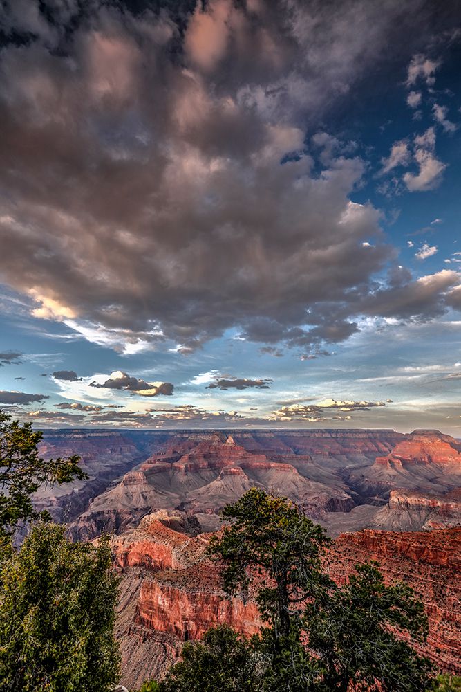 View of the Grand Canyon from the South Rim. art print by Larry Richardson for $57.95 CAD