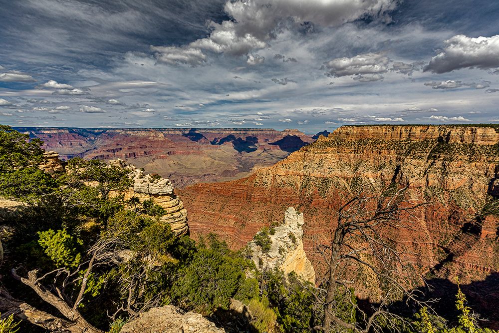 View of the Grand Canyon from the South Rim. art print by Larry Richardson for $57.95 CAD