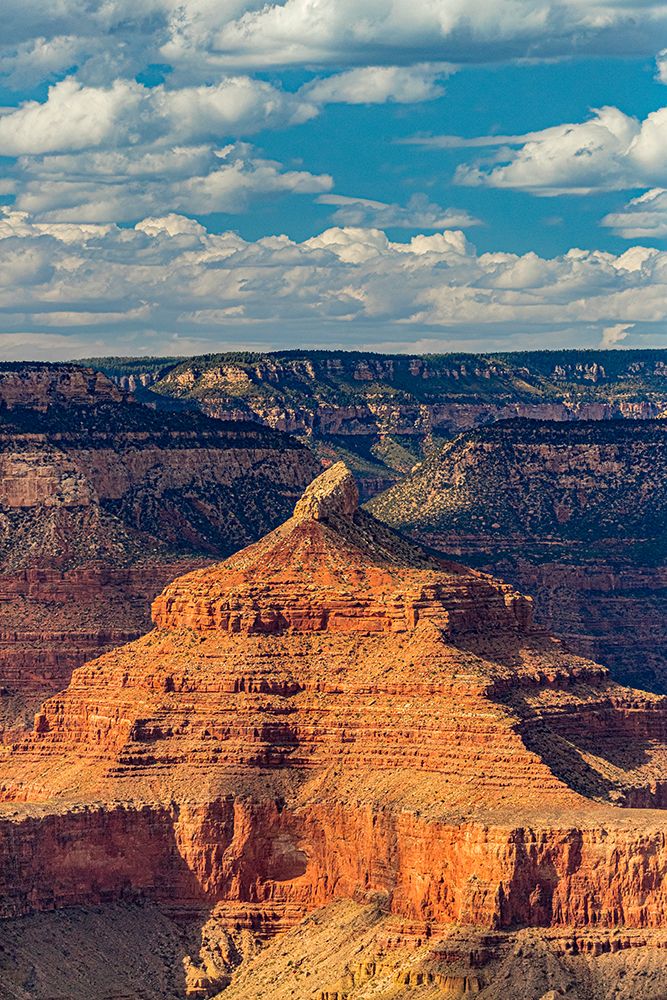 View of the Grand Canyon from the South Rim. art print by Larry Richardson for $57.95 CAD