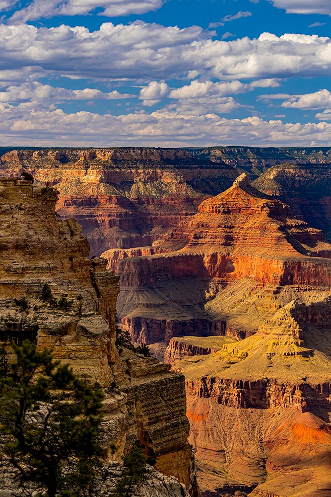 View of the Grand Canyon from the South Rim. art print by Larry Richardson for $57.95 CAD
