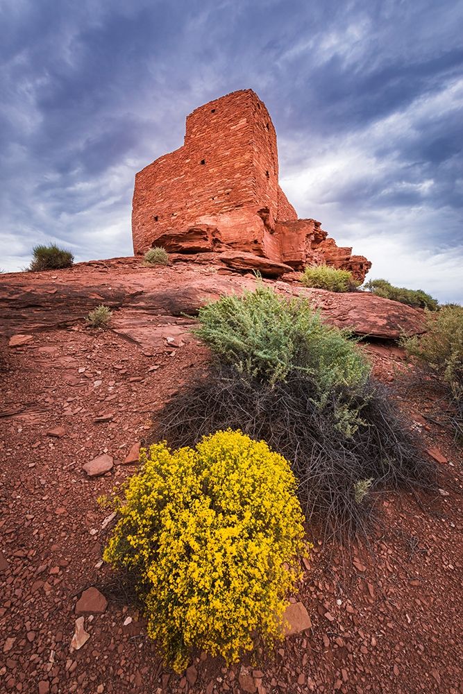 Evening light on Wukoki Ruin-Wupatki National Monument-Arizona art print by Russ Bishop for $57.95 CAD