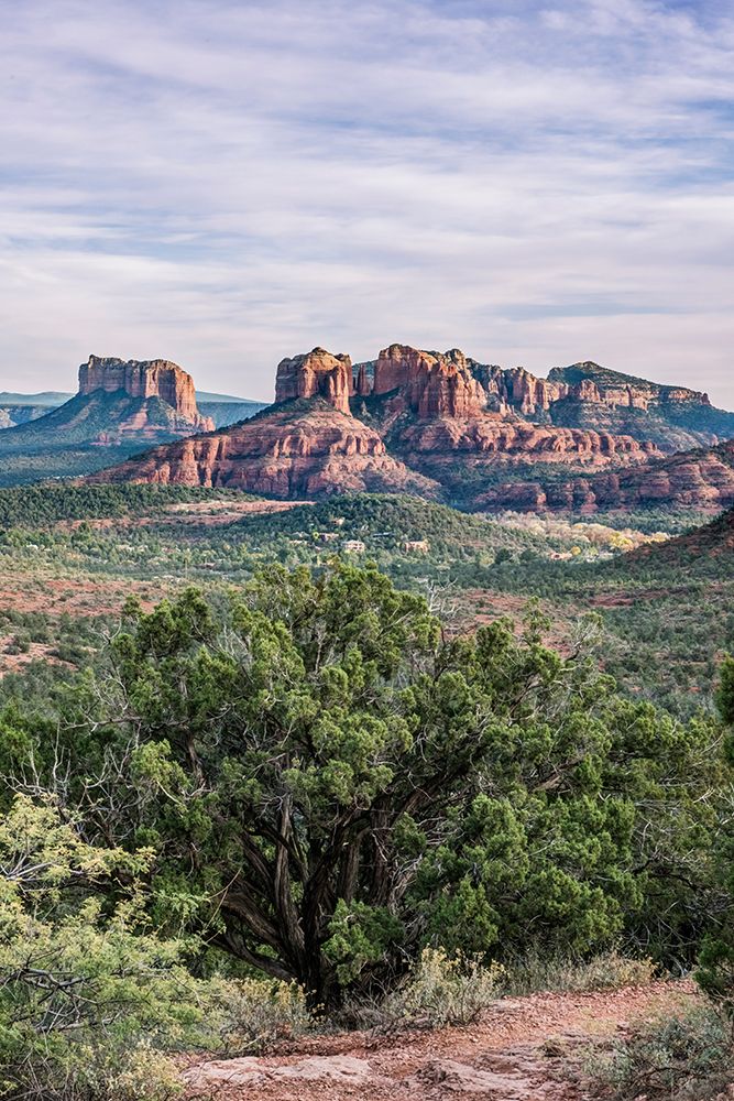 Arizona-Sedona Cathedral Rock art print by Rob Tilley for $57.95 CAD