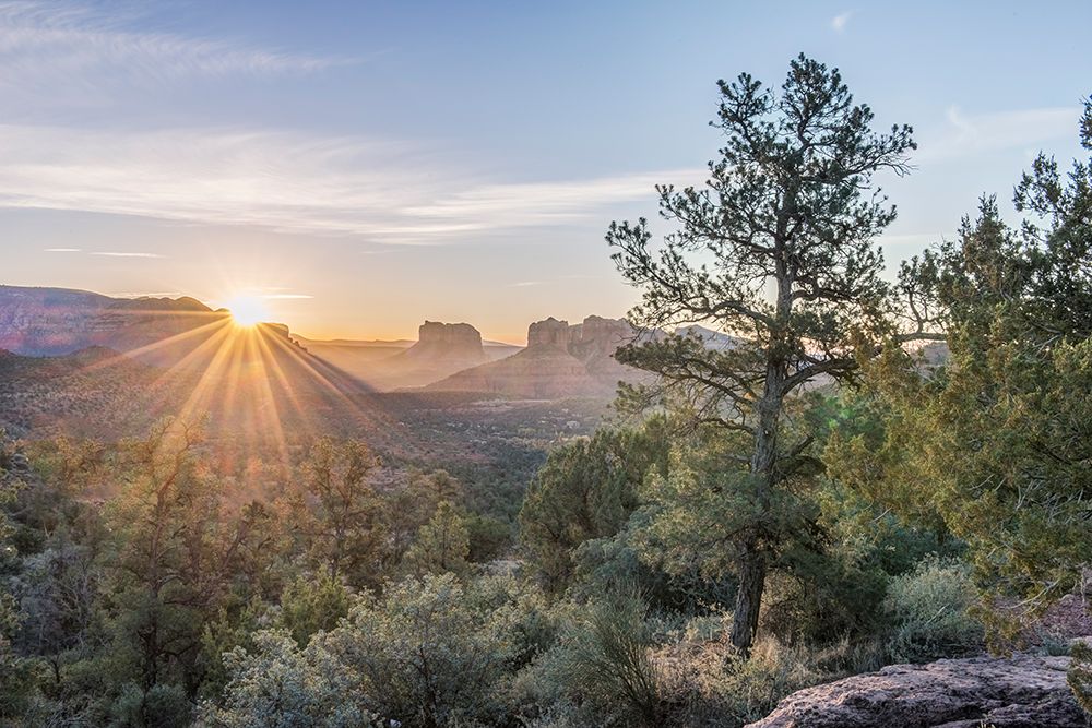 Arizona-Sedona Cathedral Rock at sunrise art print by Rob Tilley for $57.95 CAD