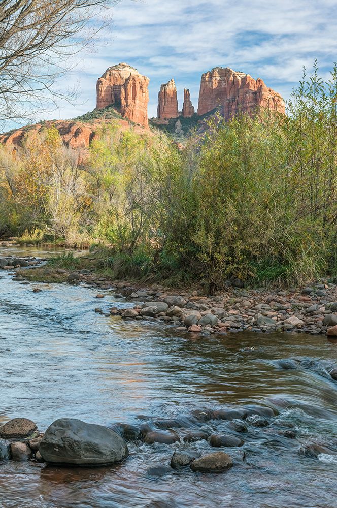 Arizona-Sedona Oak Creek and Cathedral Rock art print by Rob Tilley for $57.95 CAD