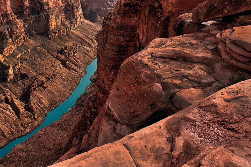 Colorado River meanders through the Grand Canyon below Toroweap Overlook art print by Steve Mohlenkamp for $57.95 CAD