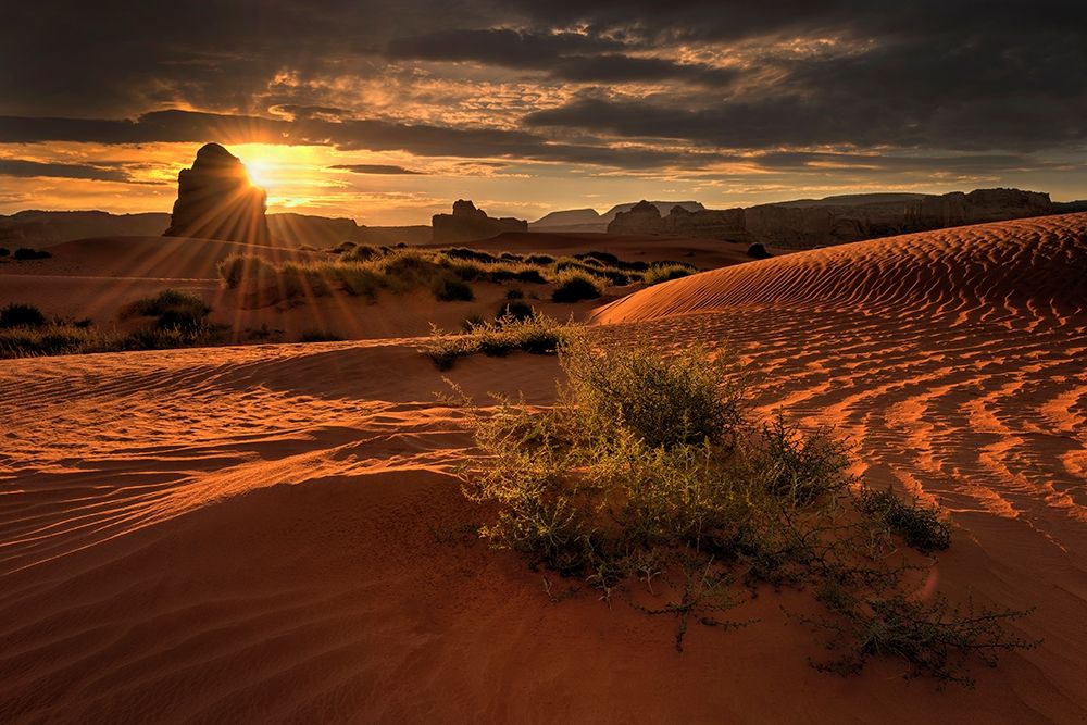 Lukashenka desert sand dunes in northern Arizona art print by Steve Mohlenkamp for $57.95 CAD