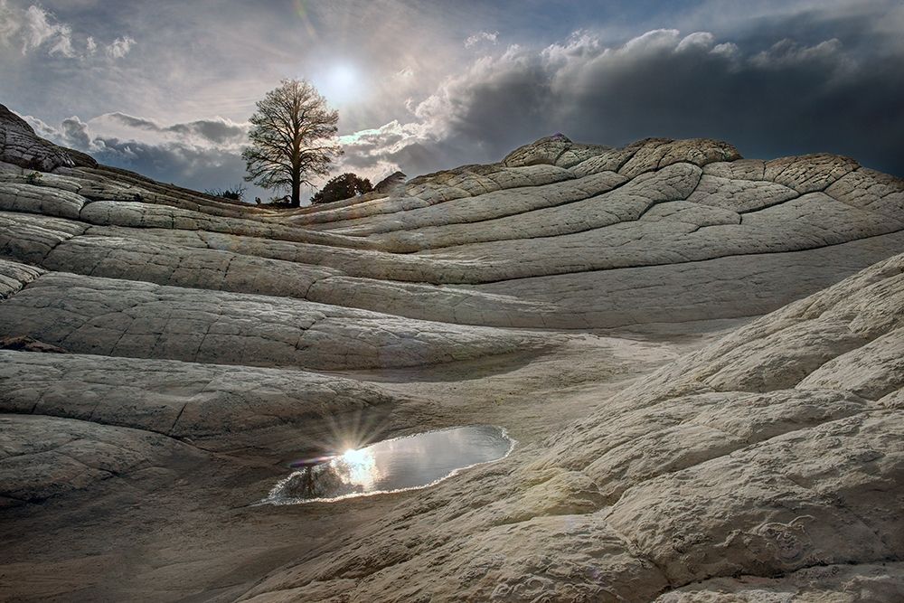 A pool reflects in folds of Brain Rock in white pockets in northern Arizona art print by Steve Mohlenkamp for $57.95 CAD