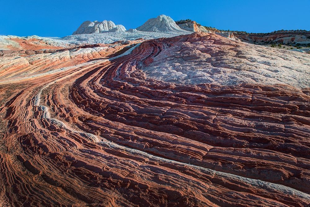 Swirls of colored sandstone in the white pockets area in northern Arizona art print by Steve Mohlenkamp for $57.95 CAD