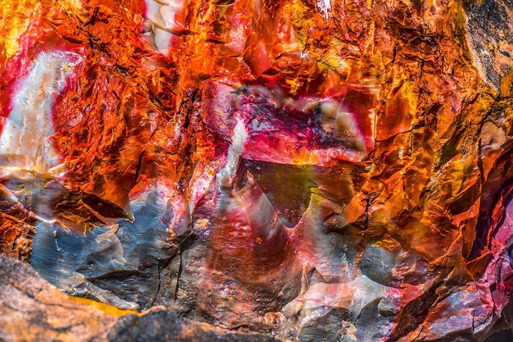 Red-orange and yellow petrified wood abstract-Blue Mesa-Petrified Forest National Park-Arizona art print by William Perry for $57.95 CAD