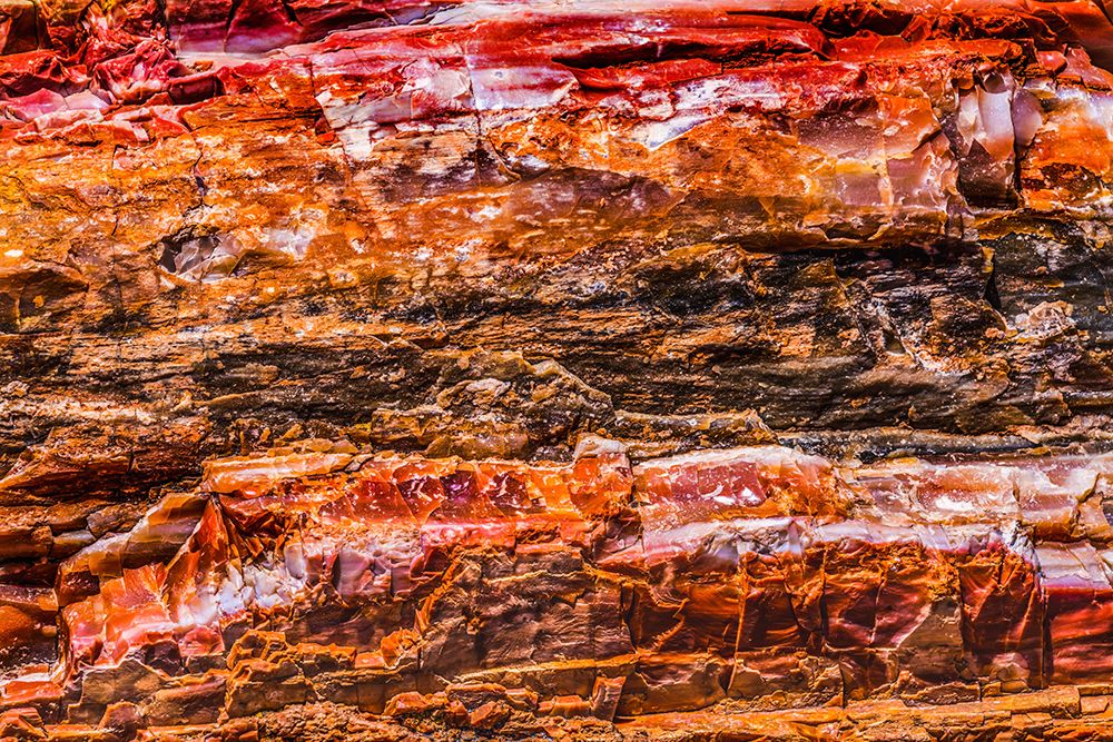 Red-orange and yellow petrified wood abstract-Blue Mesa-Petrified Forest National Park-Arizona art print by William Perry for $57.95 CAD