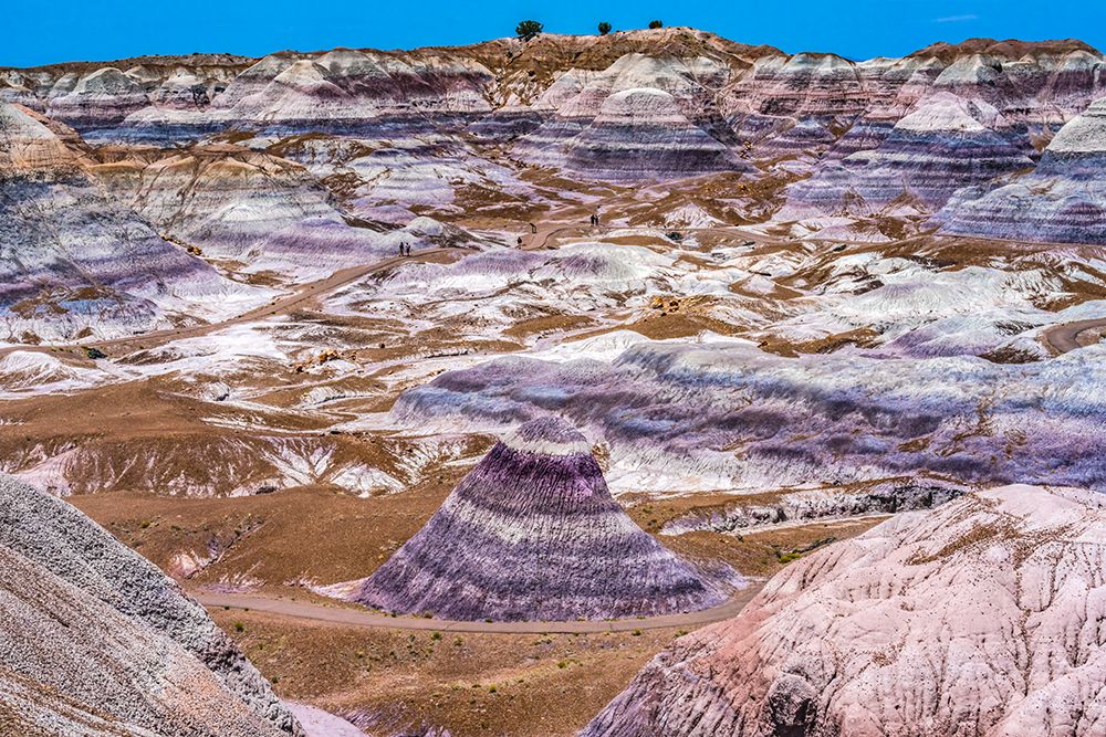 Hikers trail-Blue Mesa-Painted Desert-Petrified Forest National Park-Arizona art print by William Perry for $57.95 CAD