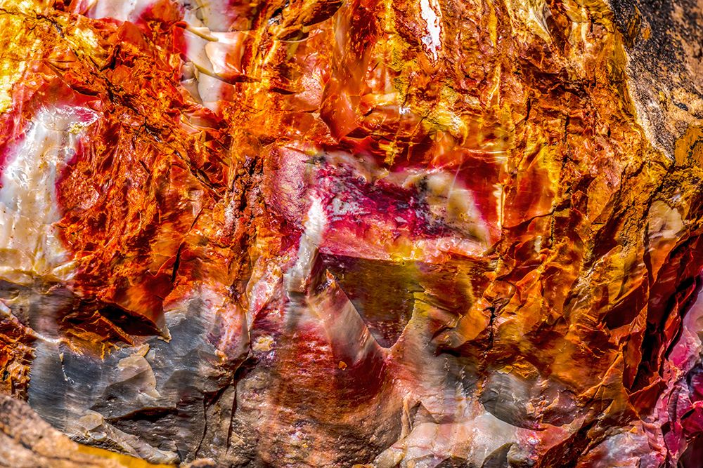 Red-orange and yellow petrified wood abstract-Blue Mesa-Petrified Forest National Park-Arizona art print by William Perry for $57.95 CAD