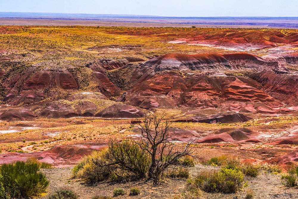 Tawa Point-Painted Desert-Petrified Forest National Park-Arizona art print by William Perry for $57.95 CAD