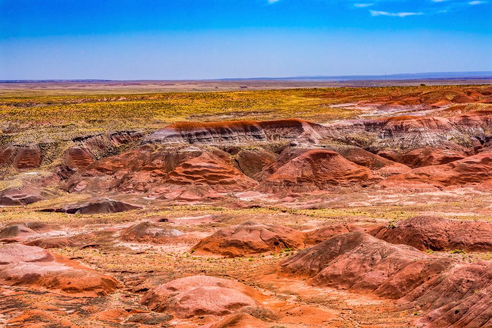 Tawa Point-Painted Desert-Petrified Forest National Park-Arizona art print by William Perry for $57.95 CAD