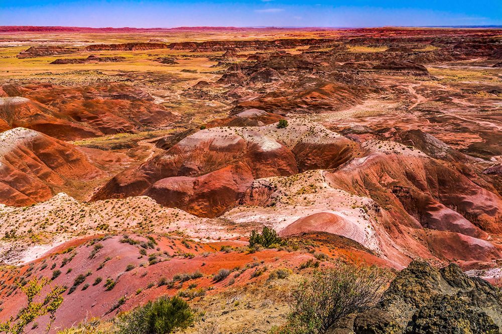 Tawa Point-Painted Desert-Petrified Forest National Park-Arizona art print by William Perry for $57.95 CAD