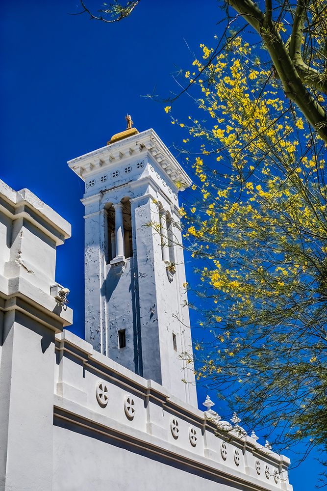 Bell tower- Santa Cruz Church- Tucson- Arizona. Founded 1918. art print by William Perry for $57.95 CAD