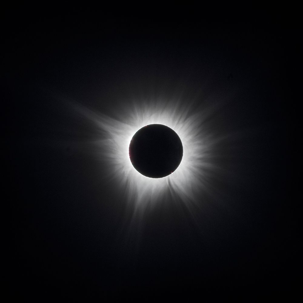 USA, Arkansas. The Total Solar Eclipse of April 8, 2024, Totality art print by Hollice Looney for $57.95 CAD