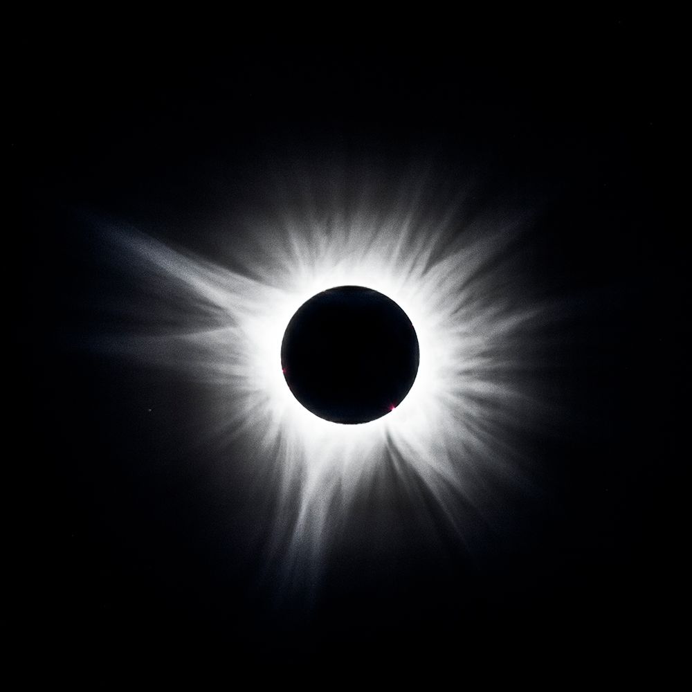 USA, Arkansas. The Total Solar Eclipse of April 8, 2024, Totality art print by Hollice Looney for $57.95 CAD