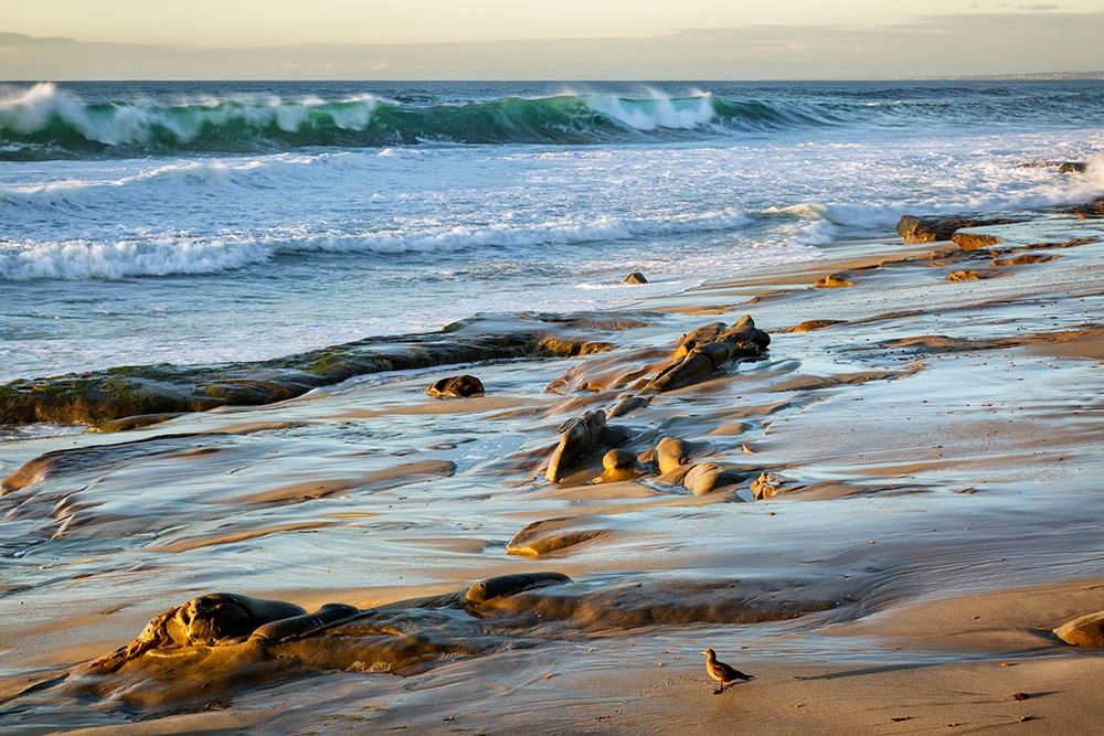 California-La Jolla-Surf breaking off Coast Blvd Park art print by Ann Collins for $57.95 CAD