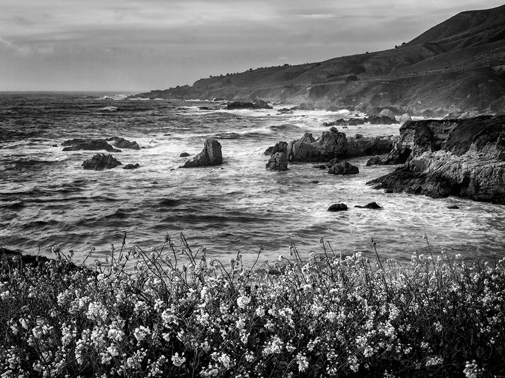 USA-California-Big Sur Dusk and mustard plants at Soberanes Cove art print by Ann Collins for $57.95 CAD