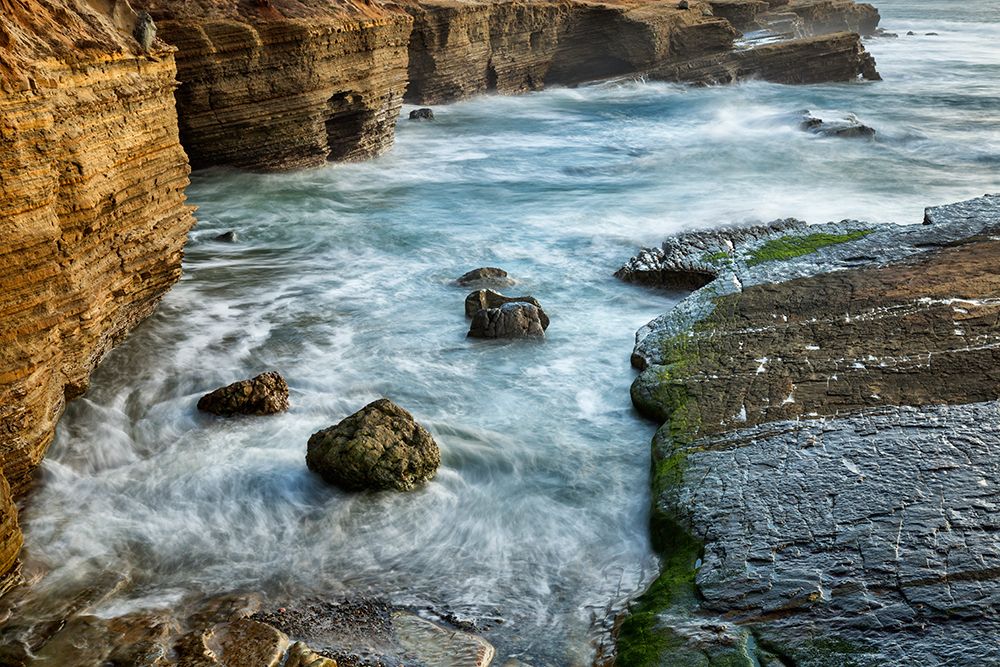 USA, California, San Diego. Tidal flow at Cabrillo National Monument tide pools art print by Ann Collins for $57.95 CAD