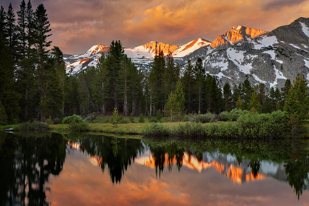 Alpine tarn-Tuolumne Meadows sunrise-Yosemite National Park-California art print by Adam Jones for $57.95 CAD