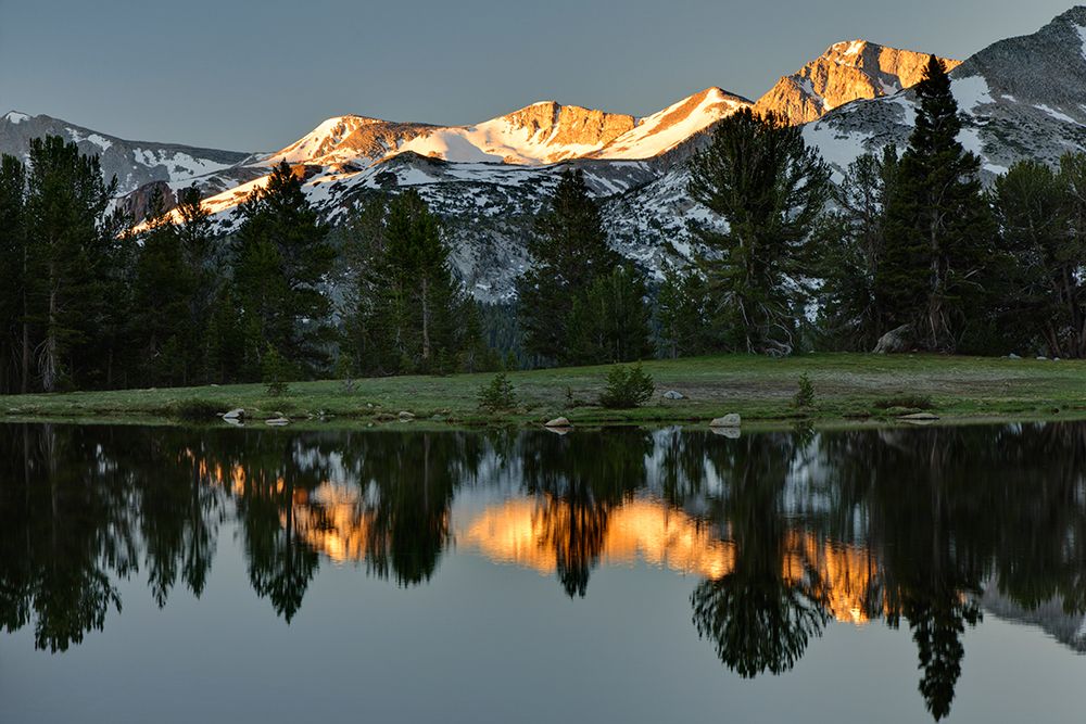 Alpine tarn-Tuolumne Meadows sunrise-Yosemite National Park-California art print by Adam Jones for $57.95 CAD
