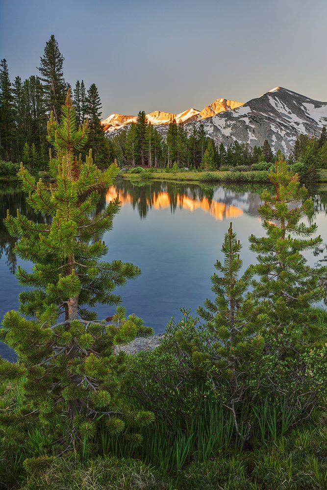 Alpine tarn-Tuolumne Meadows sunrise-Yosemite National Park-California art print by Adam Jones for $57.95 CAD