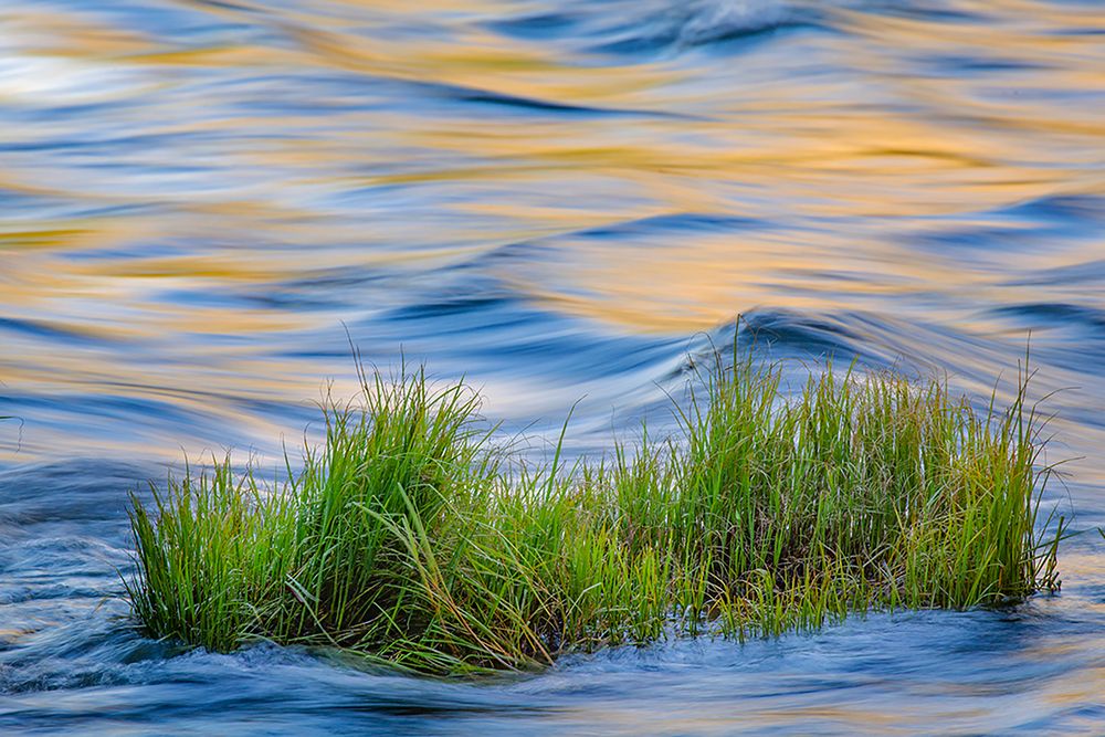 Sunset reflection on Merced River-Yosemite National Park-California art print by Adam Jones for $57.95 CAD