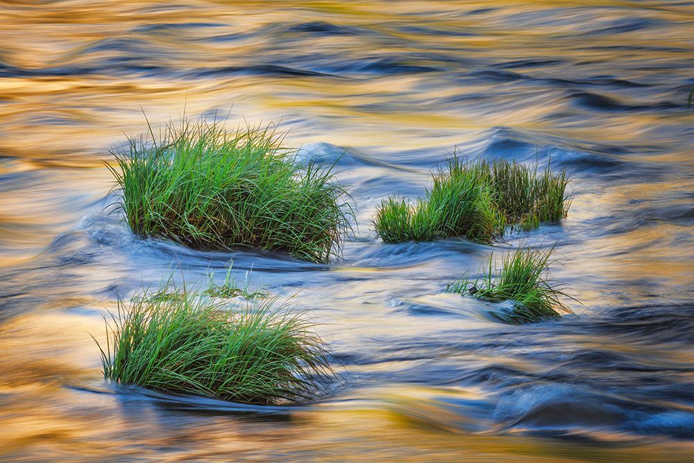 Sunset reflection on Merced River-Yosemite National Park-California art print by Adam Jones for $57.95 CAD