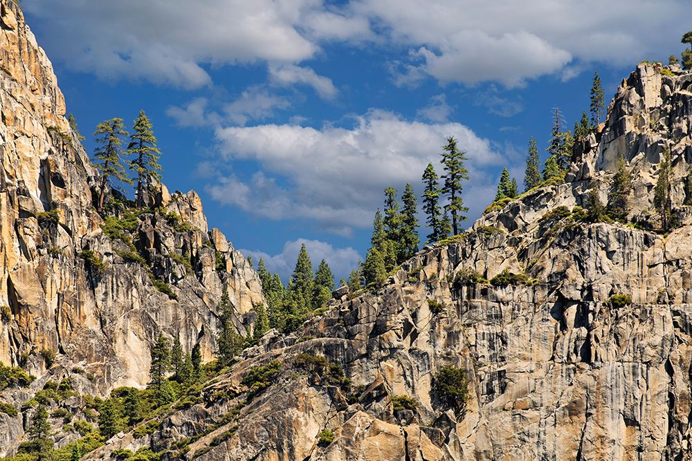 Granite valley walls-Yosemite National Park-California art print by Adam Jones for $57.95 CAD