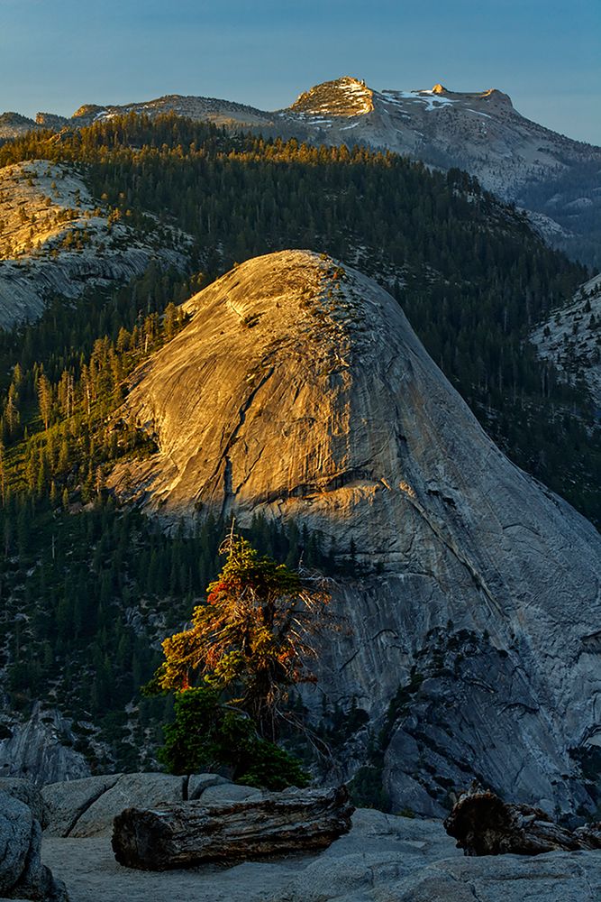 View of North Dome from Glacier Point at sunset-Yosemite National Park-California art print by Adam Jones for $57.95 CAD