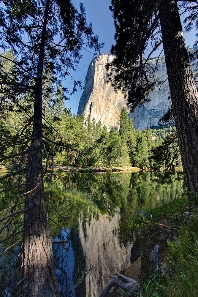 El Capitan reflected on Merced River-Yosemite National Park-California art print by Adam Jones for $57.95 CAD
