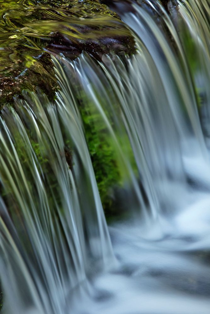Cascading water-Fern Spring-Yosemite National Park-California art print by Adam Jones for $57.95 CAD