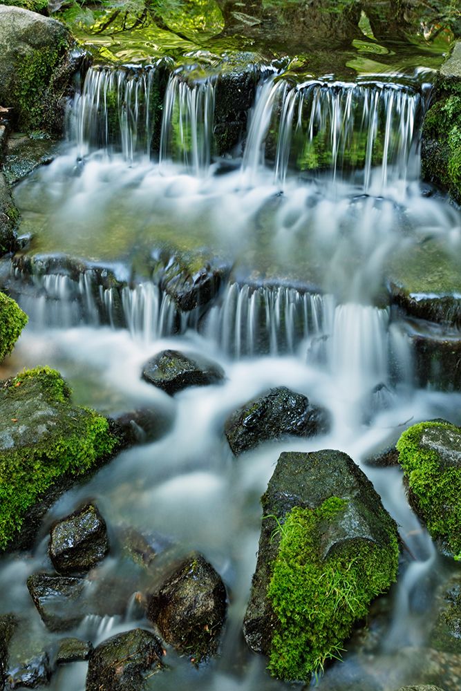 Cascading water-Fern Spring-Yosemite National Park-California art print by Adam Jones for $57.95 CAD
