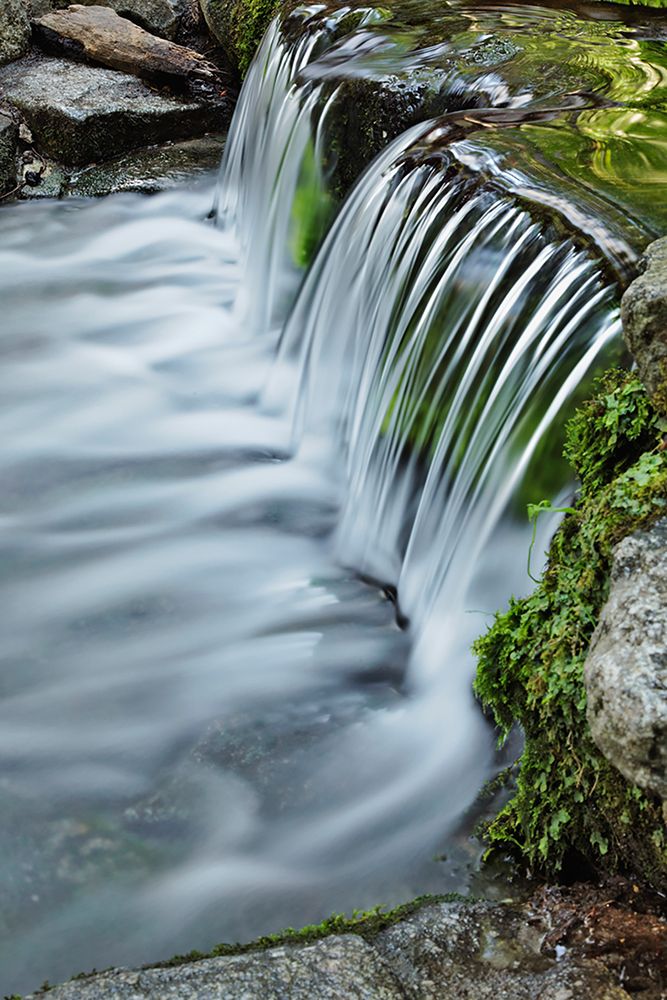 Cascading water-Fern Spring-Yosemite National Park-California art print by Adam Jones for $57.95 CAD