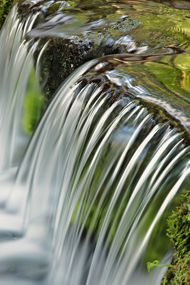 Cascading water-Fern Spring-Yosemite National Park-California art print by Adam Jones for $57.95 CAD