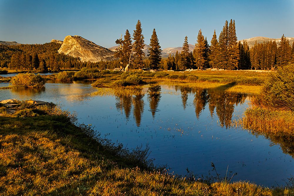 Lembert Dome reflected on Tuolumne River at sunset-Yosemite National Park-California art print by Adam Jones for $57.95 CAD