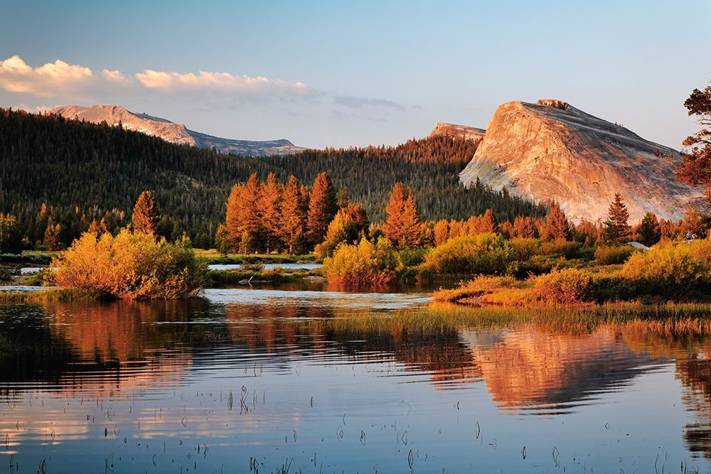Lembert Dome reflected on Tuolumne River at sunset-Yosemite National Park-California art print by Adam Jones for $57.95 CAD
