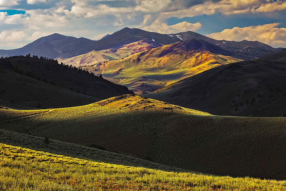 View of meadow in the White Mountains at sunset-Inyo National Forest-California art print by Adam Jones for $57.95 CAD