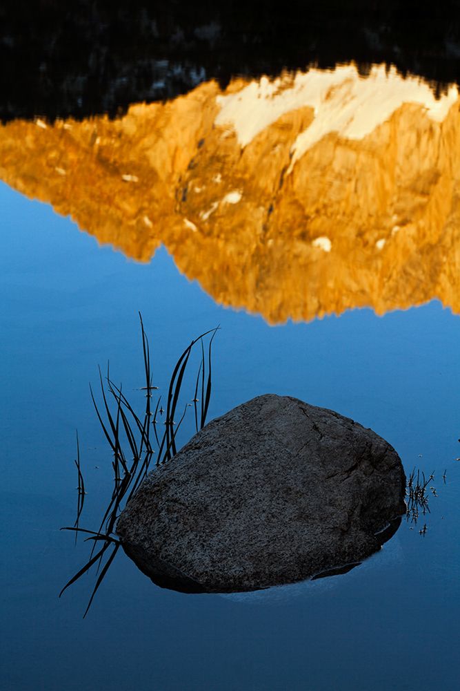 Boulder and grass stems in Alpine tarn-Tuolumne Meadows sunrise-Yosemite National Park-California art print by Adam Jones for $57.95 CAD