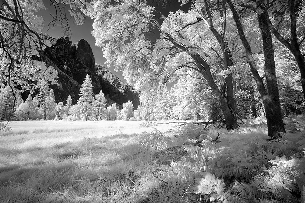 Yosemite Valley in infrared black and white-Yosemite National Park-California art print by Adam Jones for $57.95 CAD